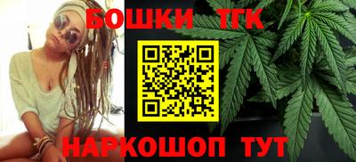 молекула духа Пугачёв